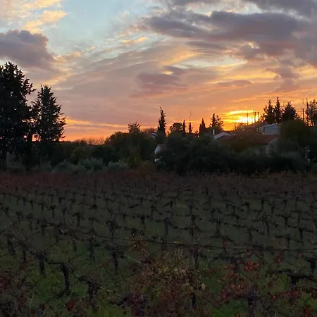 Feriehus Levanda House - Traditional House Vasa Koilaniou Vasa Kilaniou