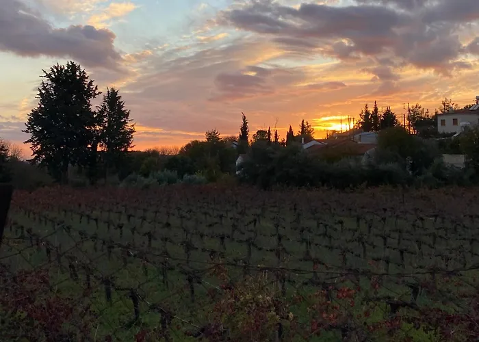 Semesterbostad Levanda House - Traditional House Vasa Koilaniou Vasa Kilaniou