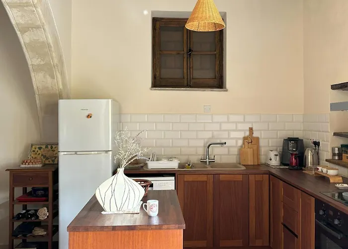 Levanda House - Traditional House Vasa Koilaniou *